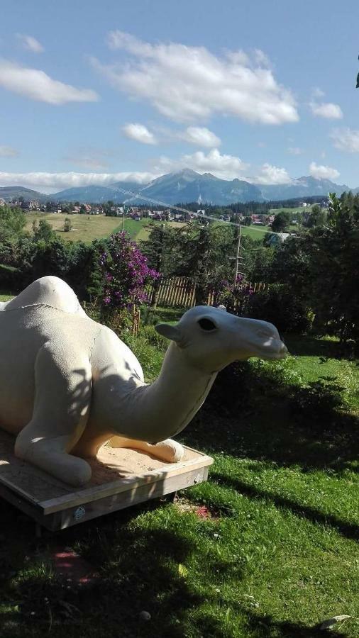 Agrotatry U Stachy Villa Bukowina Tatrzańska Exterior foto