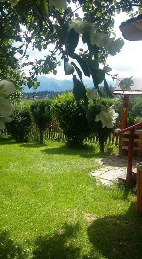 Agrotatry U Stachy Villa Bukowina Tatrzańska Exterior foto