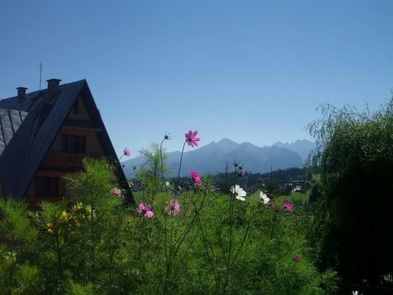 Agrotatry U Stachy Villa Bukowina Tatrzańska Exterior foto