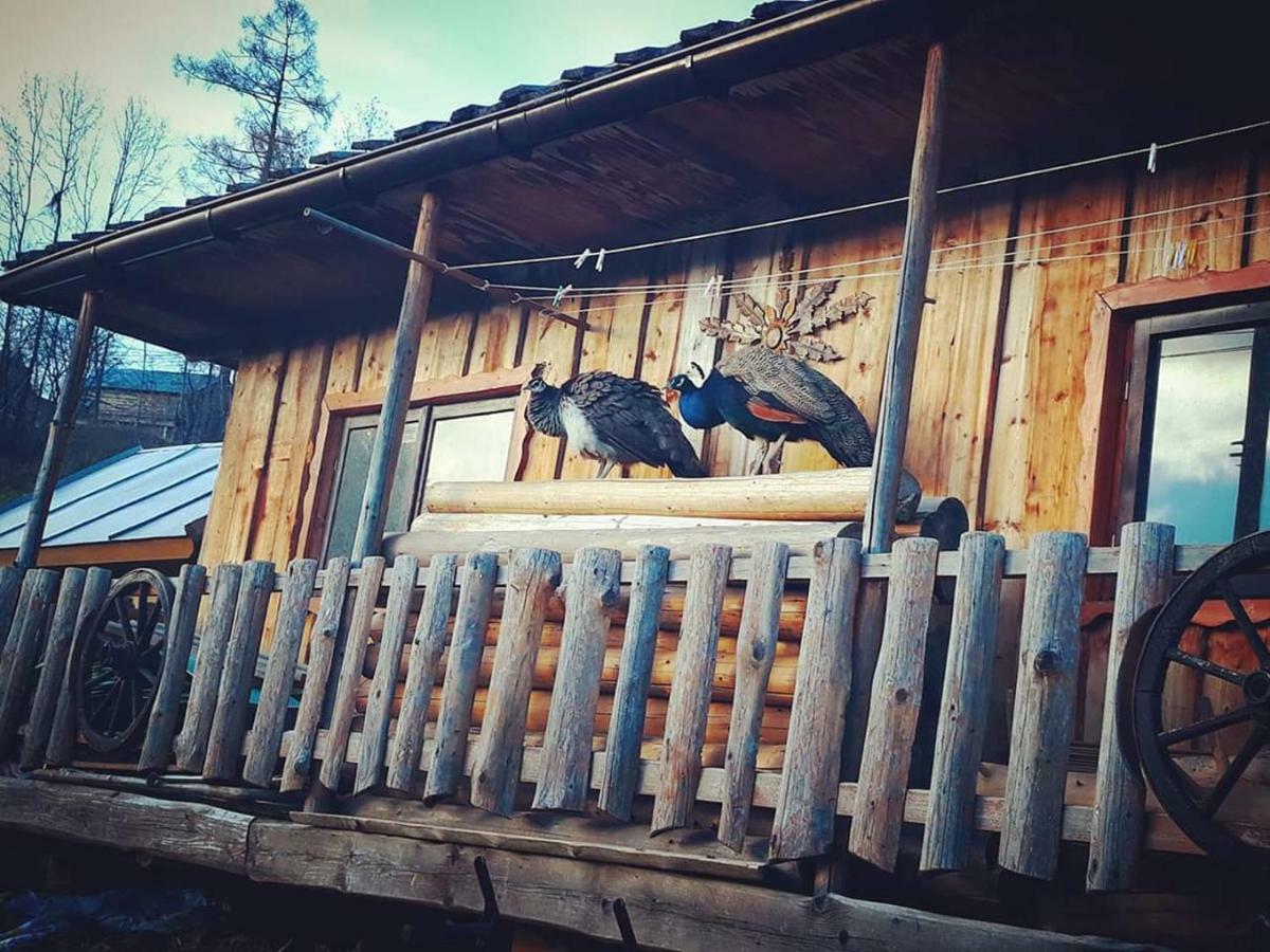 Agrotatry U Stachy Villa Bukowina Tatrzańska Exterior foto